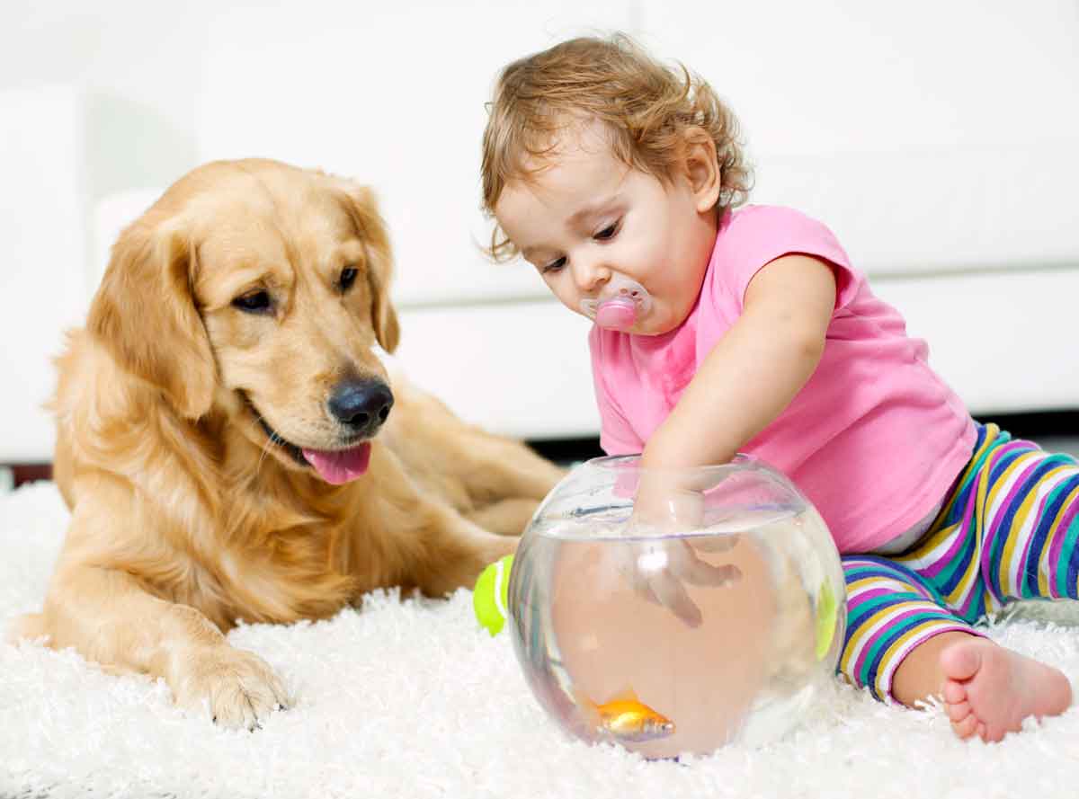 the best type of carpet for pets and kids