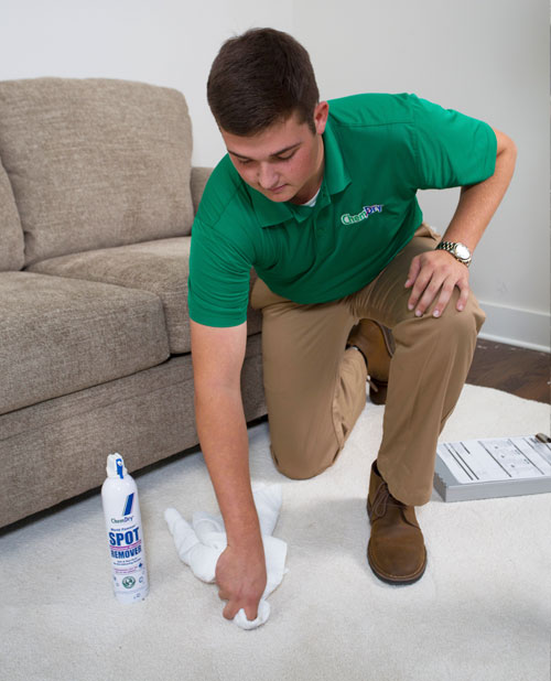 carpet stain removal in waterford mi
